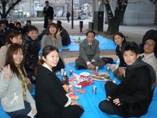 hanami4.jpg