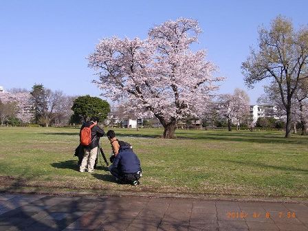 kokubunji.jpg