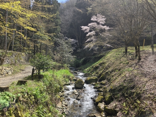 20260405_kawa122948.jpg