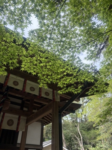 神社3.jpg